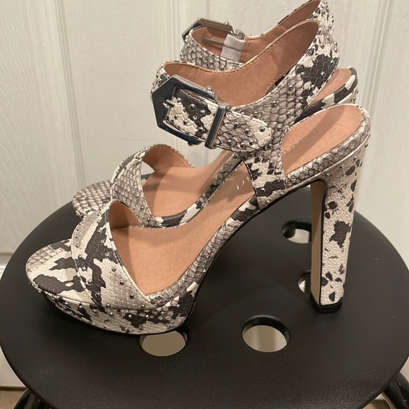 Madden Girl Shoes - Madden Girl Snakeskin Heels 8.5